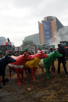 Agriculteurs en colère